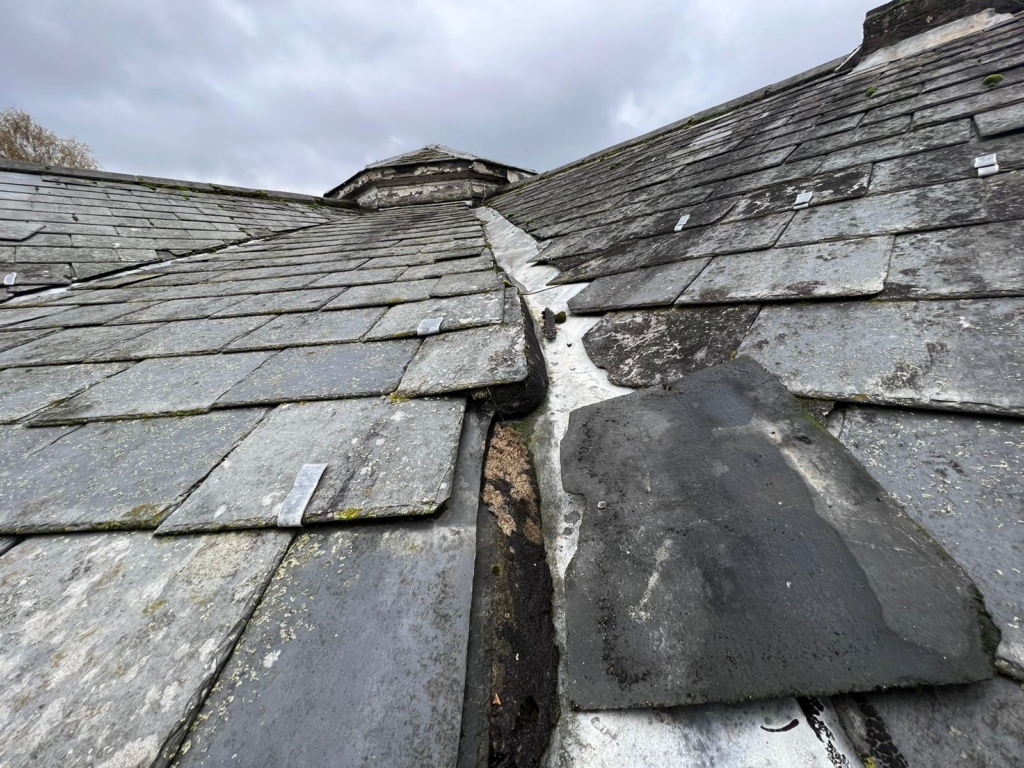 Photo of new slate roof job in Swainsthorpe, Norwich